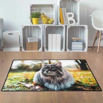 Foto einer Katze auf Teppich